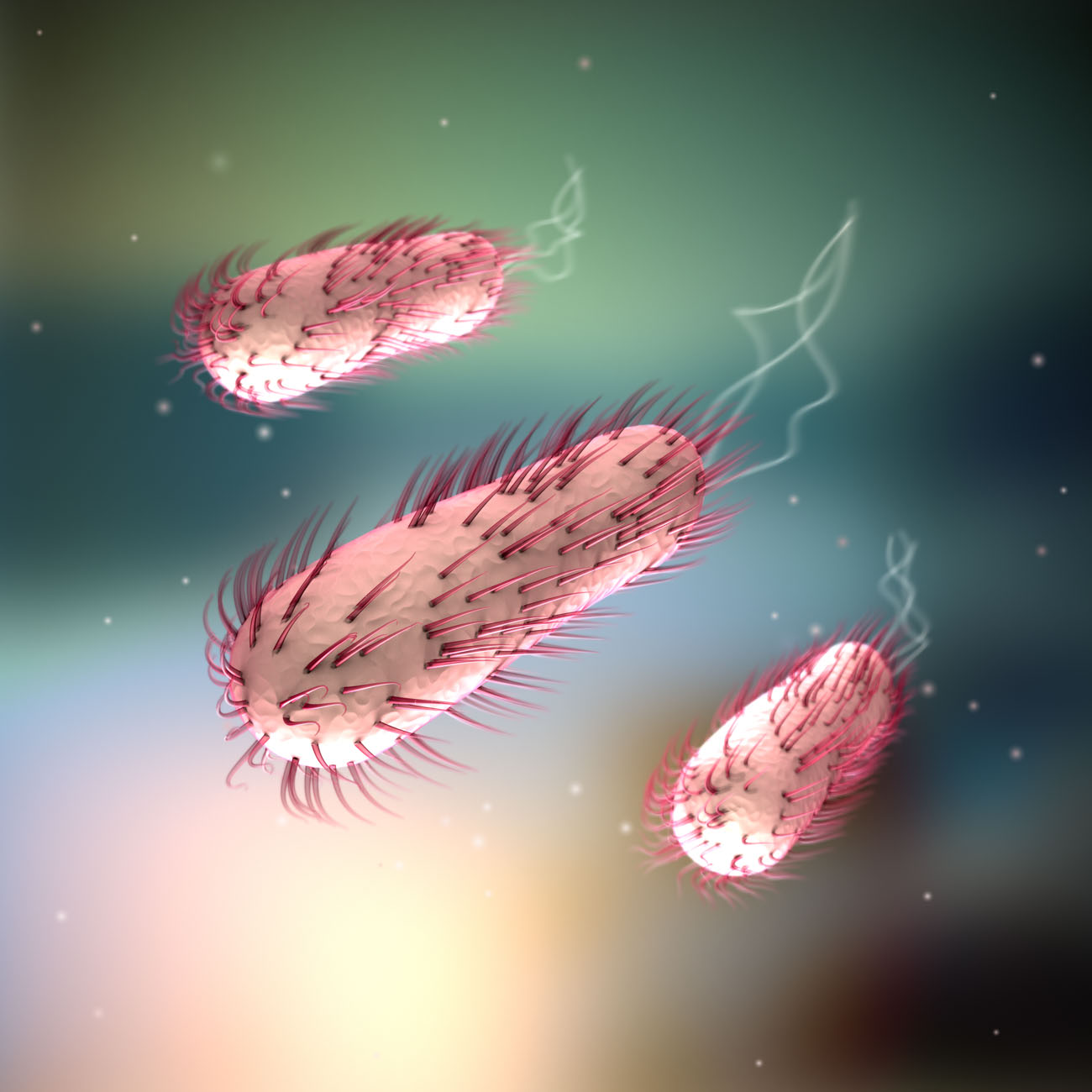 Illustration av bakterien Escherichia coli (E. coli), tre ljusrosa bakterier med mörkrosa taggar och vita svansar som svävar i en rymd.