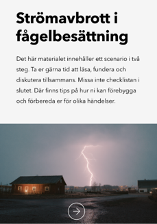 Omslag: Strömavbrott i fågelbesättning