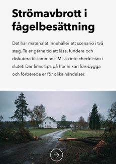 Omslag: Strömavbrott i fågelbesättning