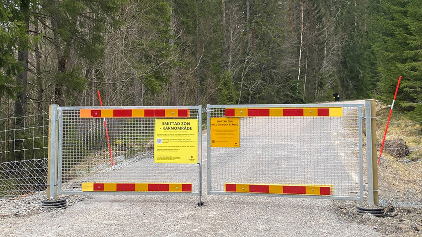 Stängsel Foto Chenais 169