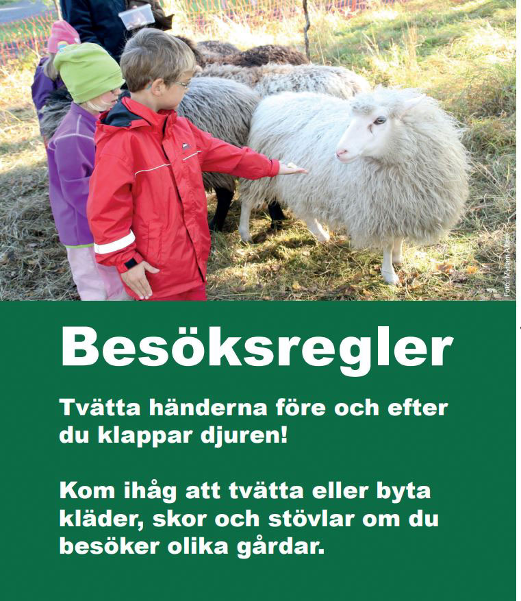 Besöksregler-banner