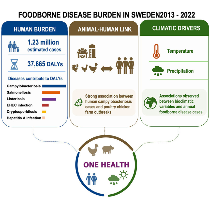 Graphical abstract One health
