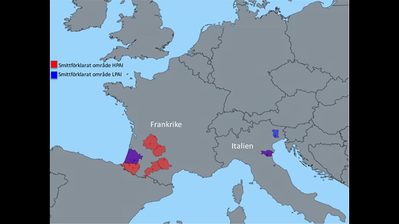 Karta över smittförklarade områden med hög- och lågpatogen fågelinfluensa i Frankrike och Italien. Fallen i Italien är inte relaterade till utbrotten i Frankrike, utan sannolikt orsakade av nyintroduktion av virus från vilda fåglar.