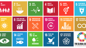 UN global goals
