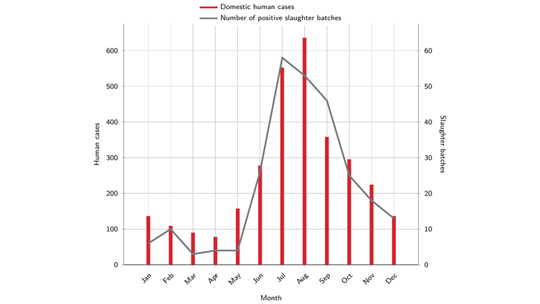 Diagram över utbrott av campylobacter över året