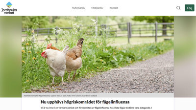 Bild från Jordbruksverket pressmeddelande med två hönor i vägkanten av en grusväg. 
