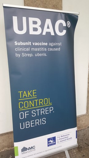 Reklamrollup för mastitvaccinet UBAC