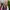 Porträtt av Linda Engblom