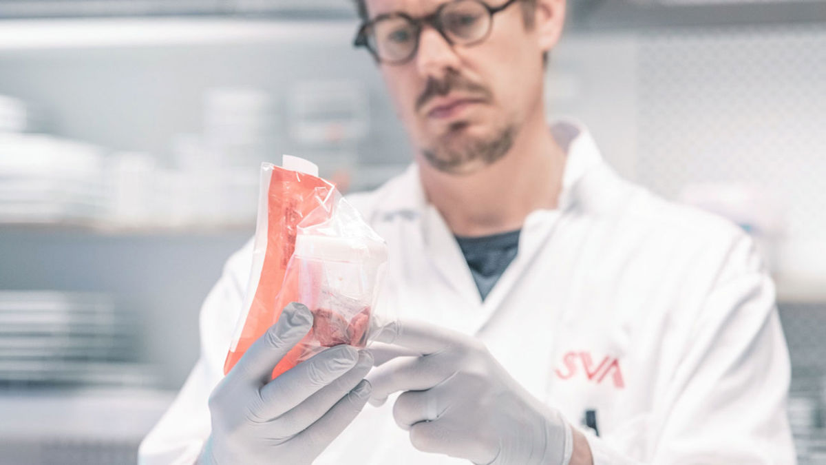 Methodology Development and 3R - SVA