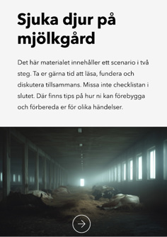 Sjuka kor i ladugård