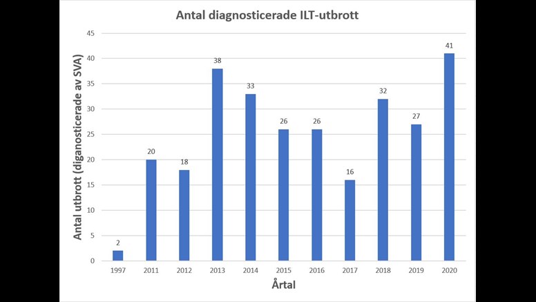 Antal konfirmerade ILT-utbrott vid SVA 1997, och de senaste tio åren. Fram till 2017 baseras resultaten enbart på obduktioner, från och med 2018 även på pcr undersökningar.