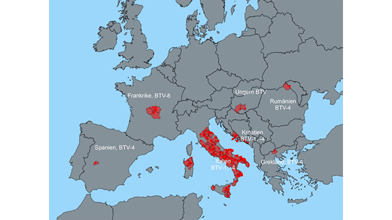 Figur: Rapporterade utbrott av bluetongue under 2015. BTV-1 cirkulerar i Italien och Kroatien, medan BTV-4 har en mer omfattande utbredning i södra och sydöstra EU (utbrotten i Ungern dock ännu inte typade). Utbrottet av BTV-8 i Frankrike är det första som rapporteras sedan 2011. Källa: EU:s sjukdomsrapporteringssystem ADNS