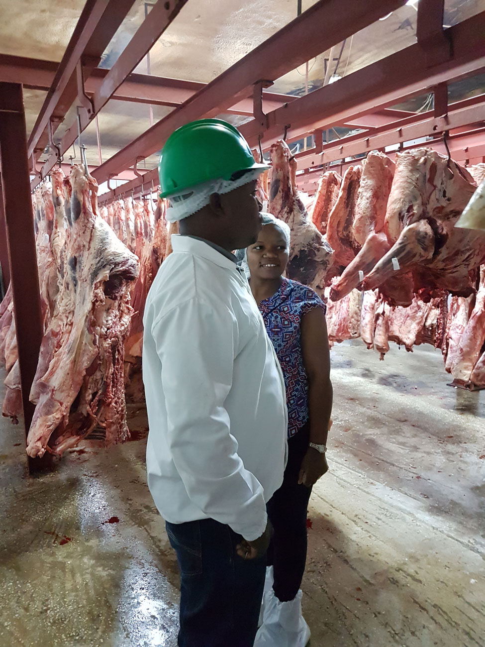 The ITP takes an integrative approach of animal health and food safety, exploring animal food value chains from stable to table and farm to fork. Photo: Carmina Ionescu/SLV