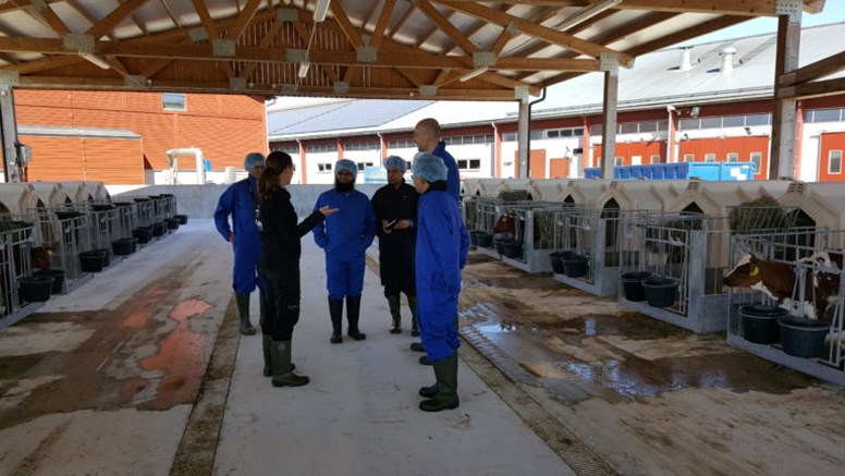 Lantbrukare står och diskuterar i ett mjölkstall
