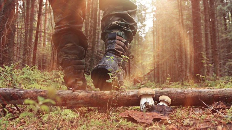 Närbild kängor som går framåt i skog.