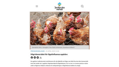 skärmavbildning som visa Jordbruksverjets nyhet med foto av inhägnade höns och texter om pressmeddelandet.