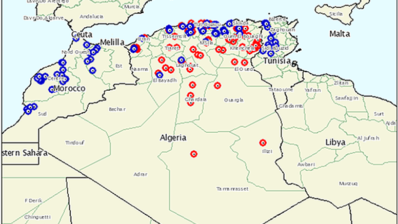 Karta över rapporterade fall av mul- och klövsjuka i Nordafrika 2018-2019. Röda punkter är pågående utbrott och blå punkter är avslutade. Källa: Världsorganisationen för djurhälsa (OIE)