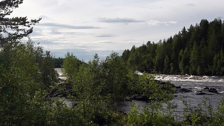 Bilden visar Torneälven, sedd från Matkakoski.