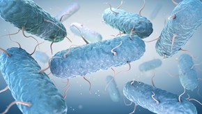 Illustration bakterier