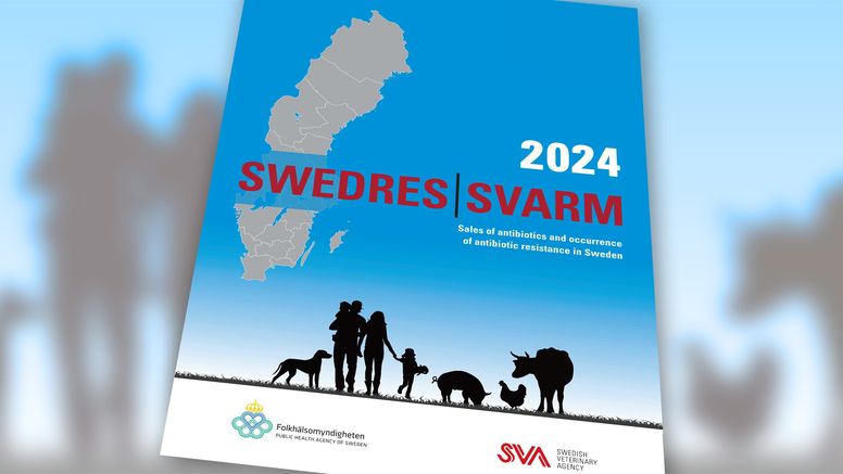 Bilden föreställer rapportens framsida med texten Swedres-Svarm tvärs över.