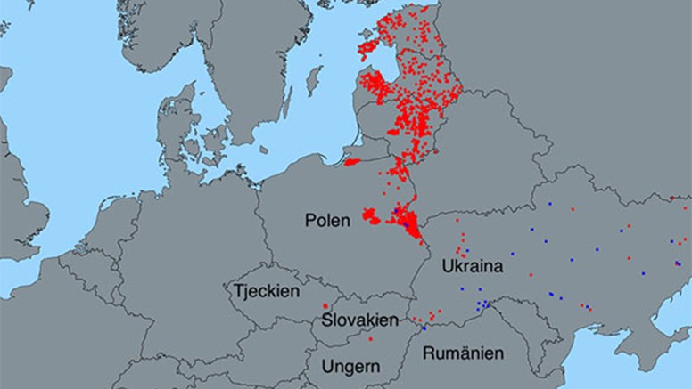 Karta: Rapporterade fall av afrikansk svinpest hos vildsvin (röda prickar) och utbrott hos gris (blå prickar) inom EU och Ukraina under 2018. Källa: EU:s sjukdomsrapporteringssystem ADNS