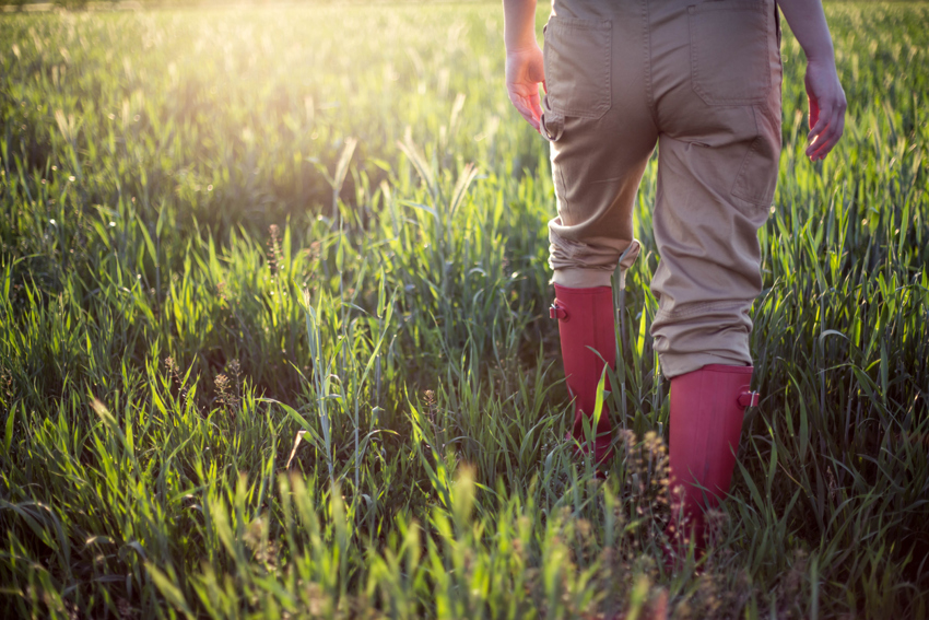 iStock-1225791519.jpg