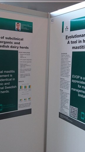 Ulfs posters.
