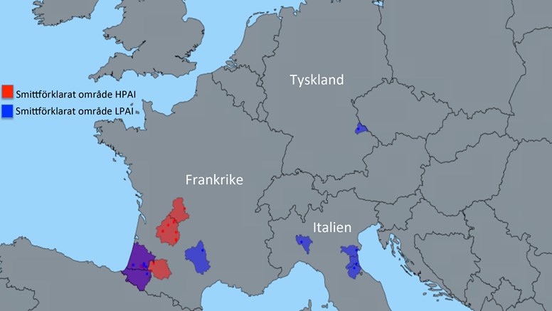 Smittkarta över högpatogen fågelinfluensa i Europa 2015.