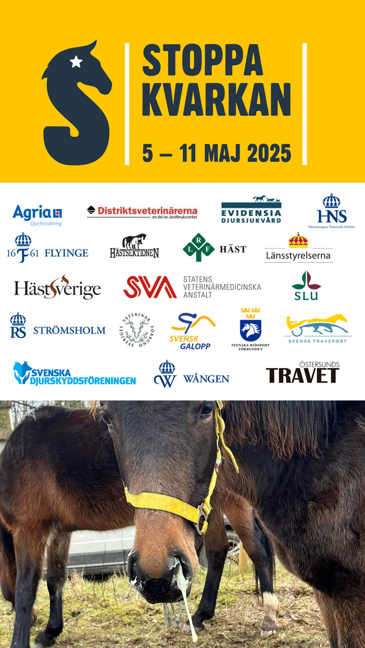 En samling av logotyper från de 19 organisationer som samverkar under kampanjveckan för att stoppa kvarkan.