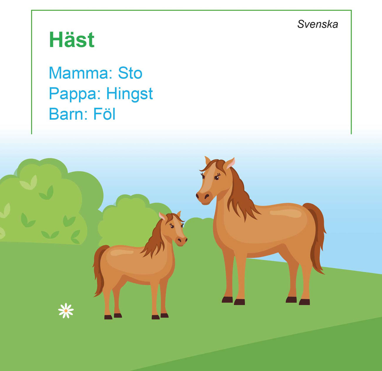 Sto och föl.