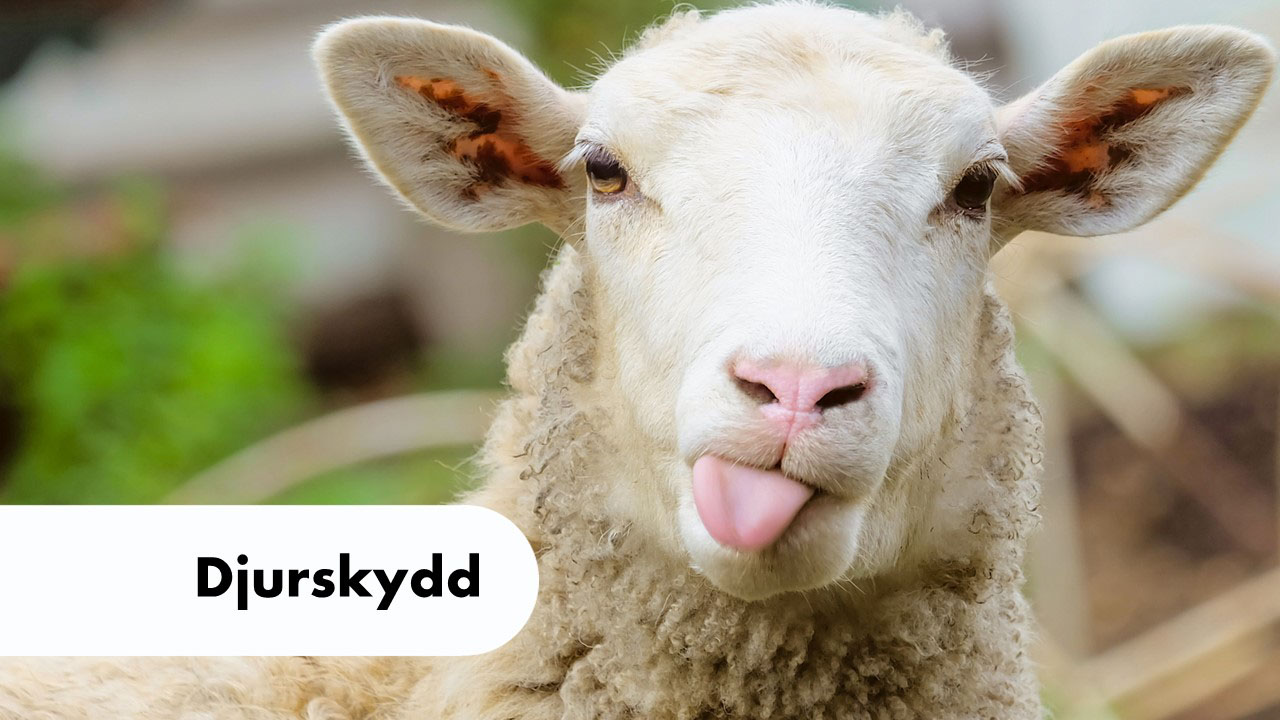 Djurskyddsbanner
