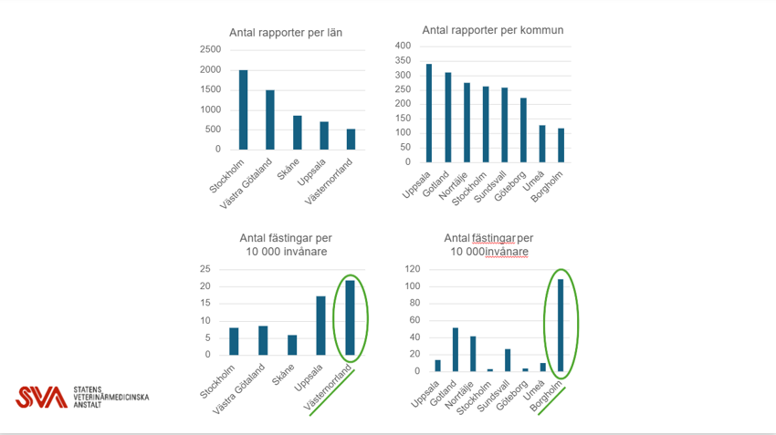 Rapporter över antalet fästingfynd 2025