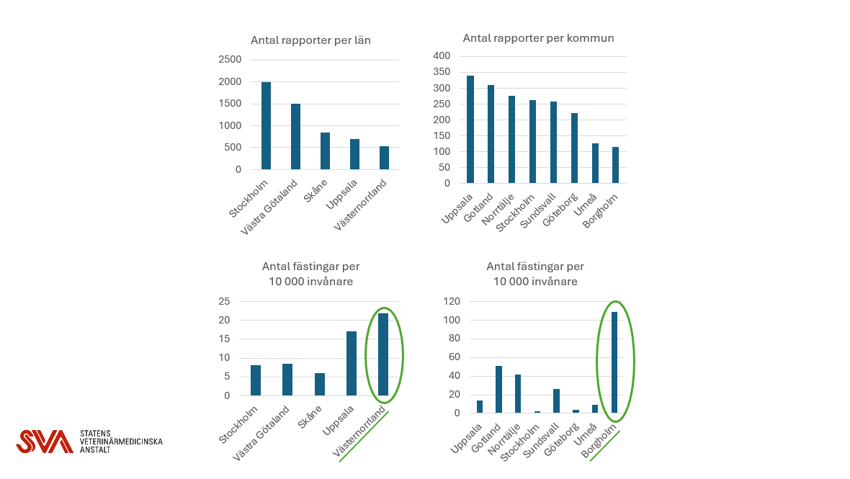 Rapporter över antalet fästingfynd 2025