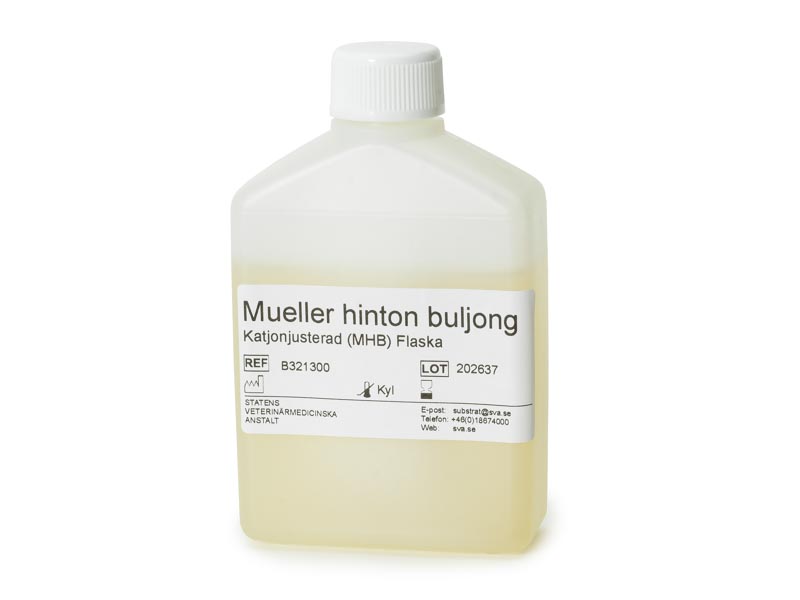 Mueller Hinton buljong, 100 ml