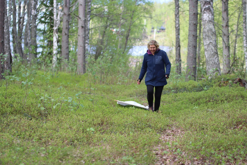 Anna flaggar.jpg