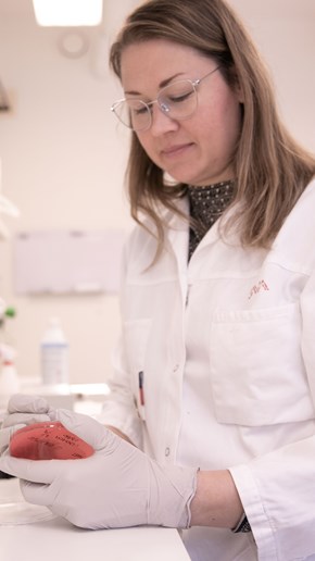 En veterinär studerar en cellkultur