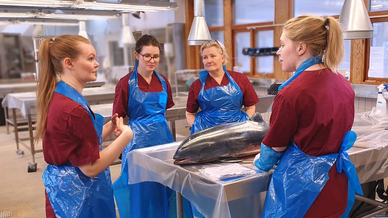 Fyra kvinnor i skyddskläder står i obduktionssal runt en tumlare som ska undersökas.