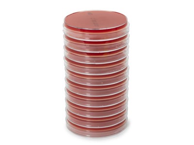 Fastidious anaerobe agar (FAA), 10 st per förpackning