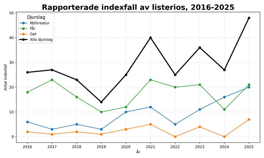 En graf med fyra olikfärgade linjer för tre djurslag och en totalsumma som redovisar antalet indexfall av listerios år för år.